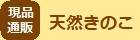 �V�R���̂�