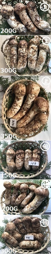 ������9���i�̉摜