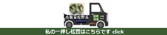 ʔ̂ߏi