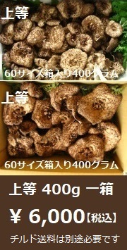 �V�N�Ȑ��N���̂荁��400�c�����̏��i�摜