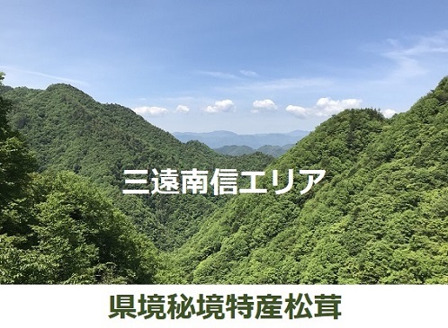 �M�B�����A�R�̕��i�摜