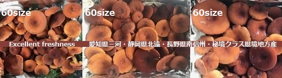 �M�B�ѓc�ō̎悵���ԓ��F�̓V�R�`�`�^�P(��������)�����O�̗l�q