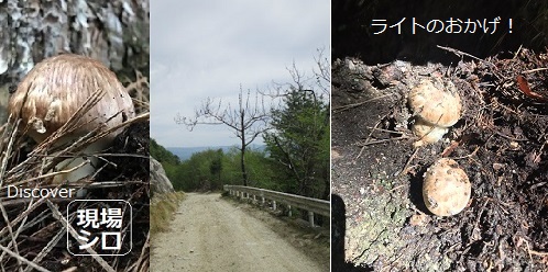 �閾���O�̌���Ń��C�g�ɏƂ炳��鏼���̉摜