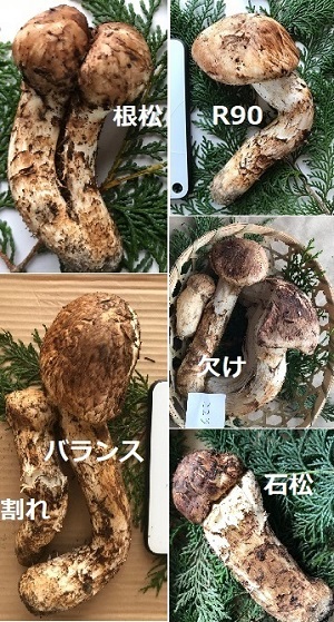 ̏ڍ׉摜