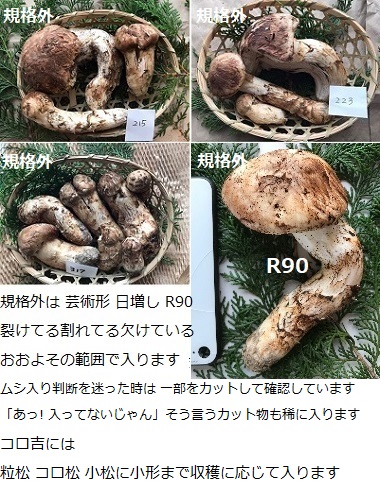 ̏ڍ׉摜