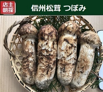 �ڂݏ����̉摜