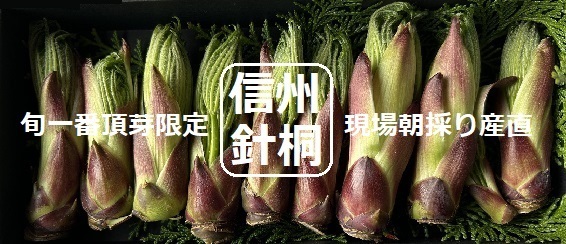 �͂肫�蒸�菤�i�摜