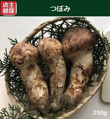 �ڂݏ����̉摜
