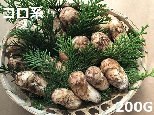 �}�c�^�P�R���̉摜