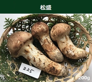 �����̉摜