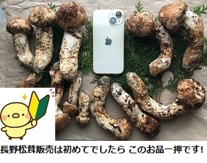 ܂