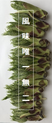 �j�˂̉�̉摜