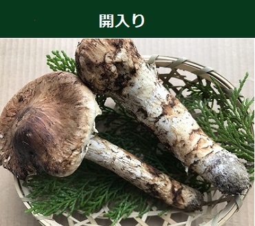 �J���Ƃڂ݂̉摜