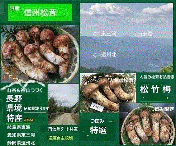 乾燥香茸