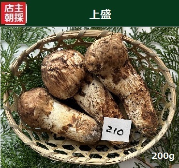 �㐷�摜