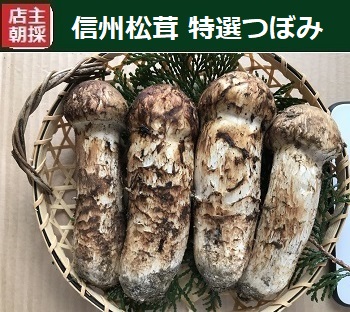���I�ڂ݂̉摜