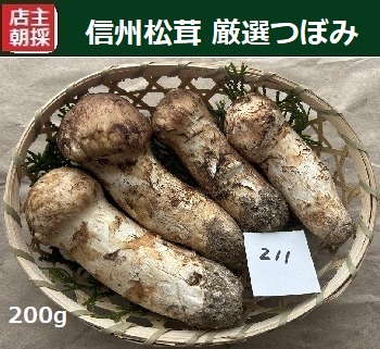 ���I�ڂ݂̉摜