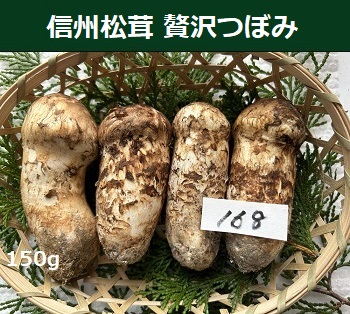 �ґ�ڂ݂̉摜
