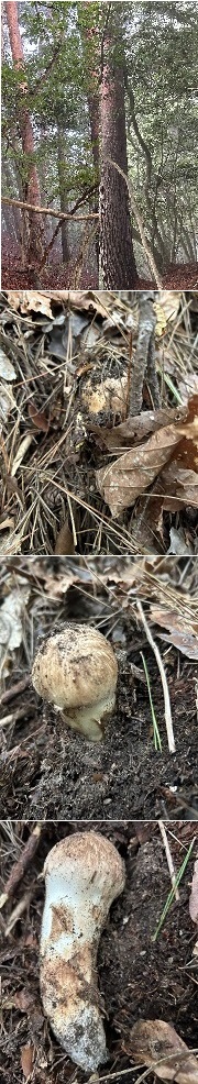 �����ŏ������̎悵�Ă���A�ʂ̉摜