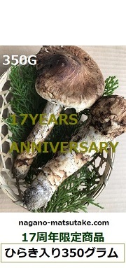 �Ђ炫�����̉摜