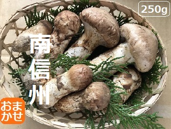 �M�B�����u���܂����v�̏��i�摜